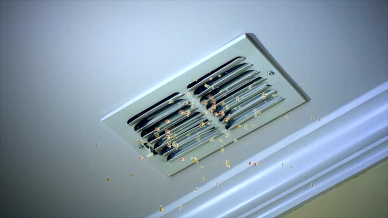 Best Home Air Vent Cleaning  in Whitehall, MI